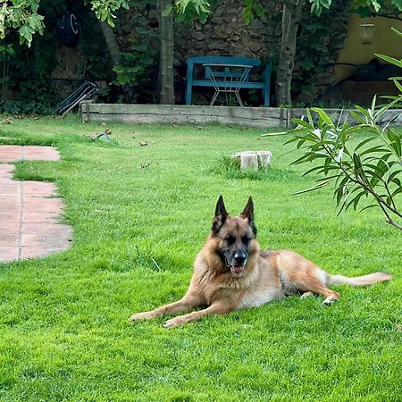 Вілла Santa Caterina - Dog Friendly With Garden Sobrestany Екстер'єр фото