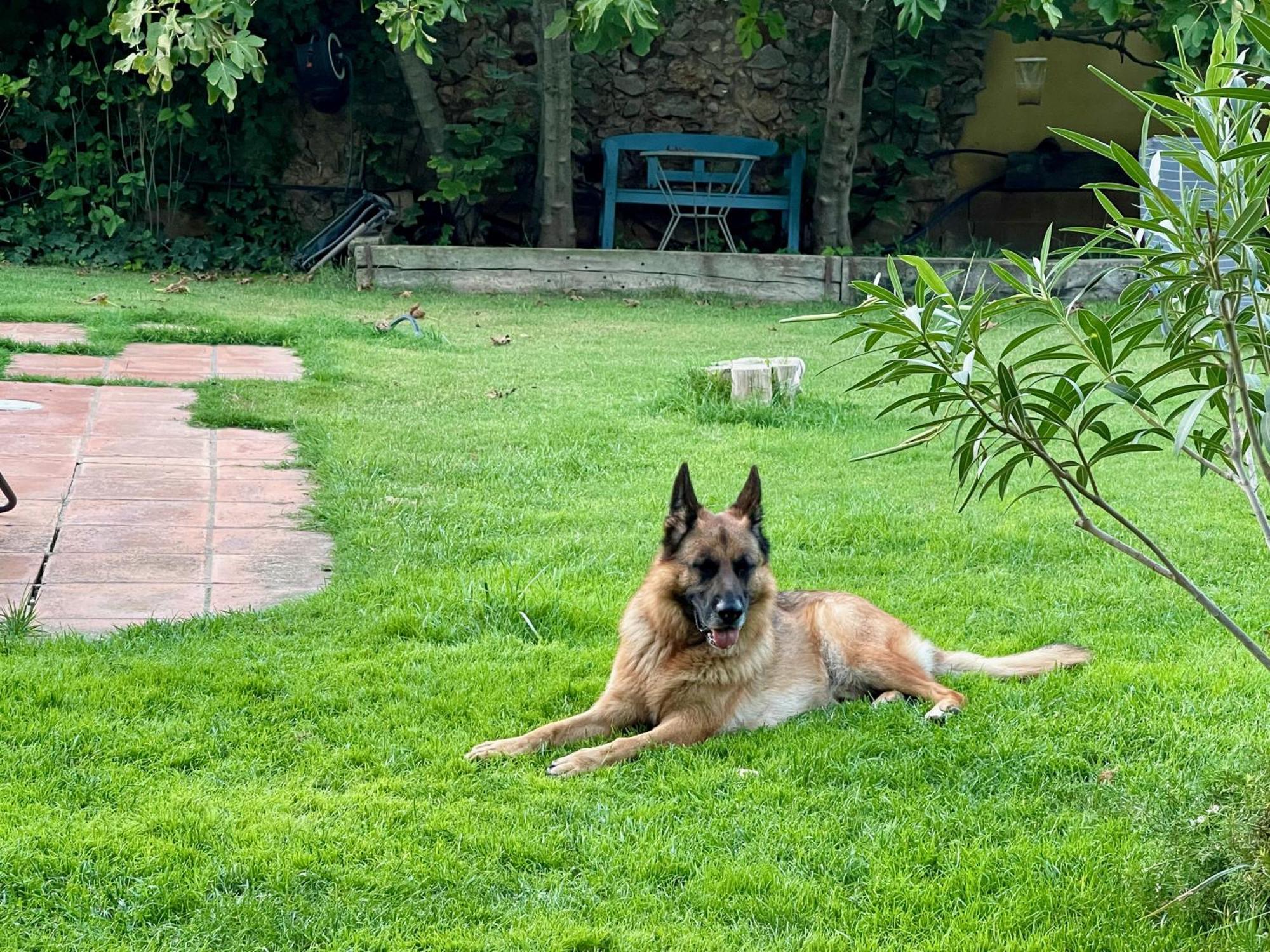 Вілла Santa Caterina - Dog Friendly With Garden Sobrestany Екстер'єр фото